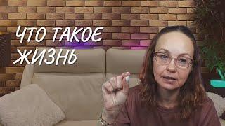 Что такое жизнь